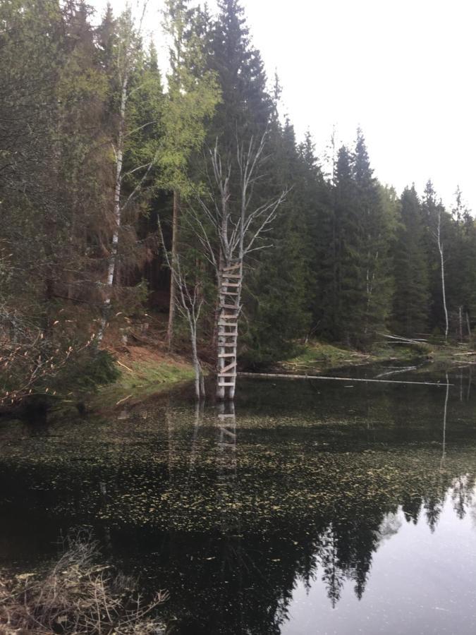 Apartmán “U nás v podkroví“ v Rezidenci Klostermann, Železná Ruda 24 Exteriér fotografie